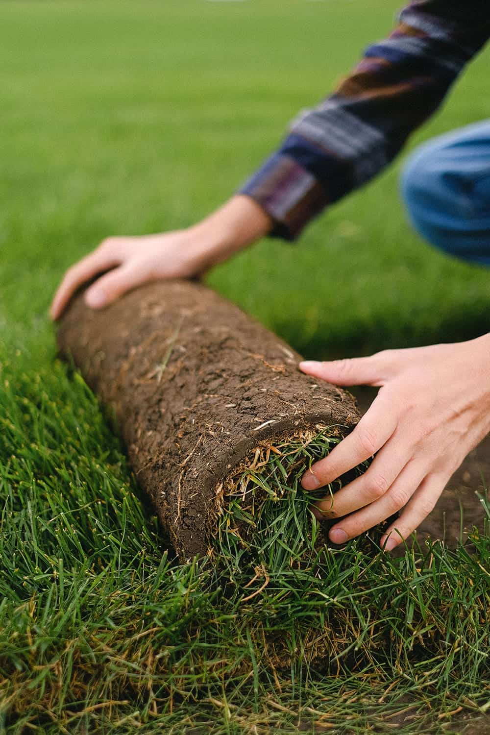 Hovenier legt nieuwe graszoden voor een gazon